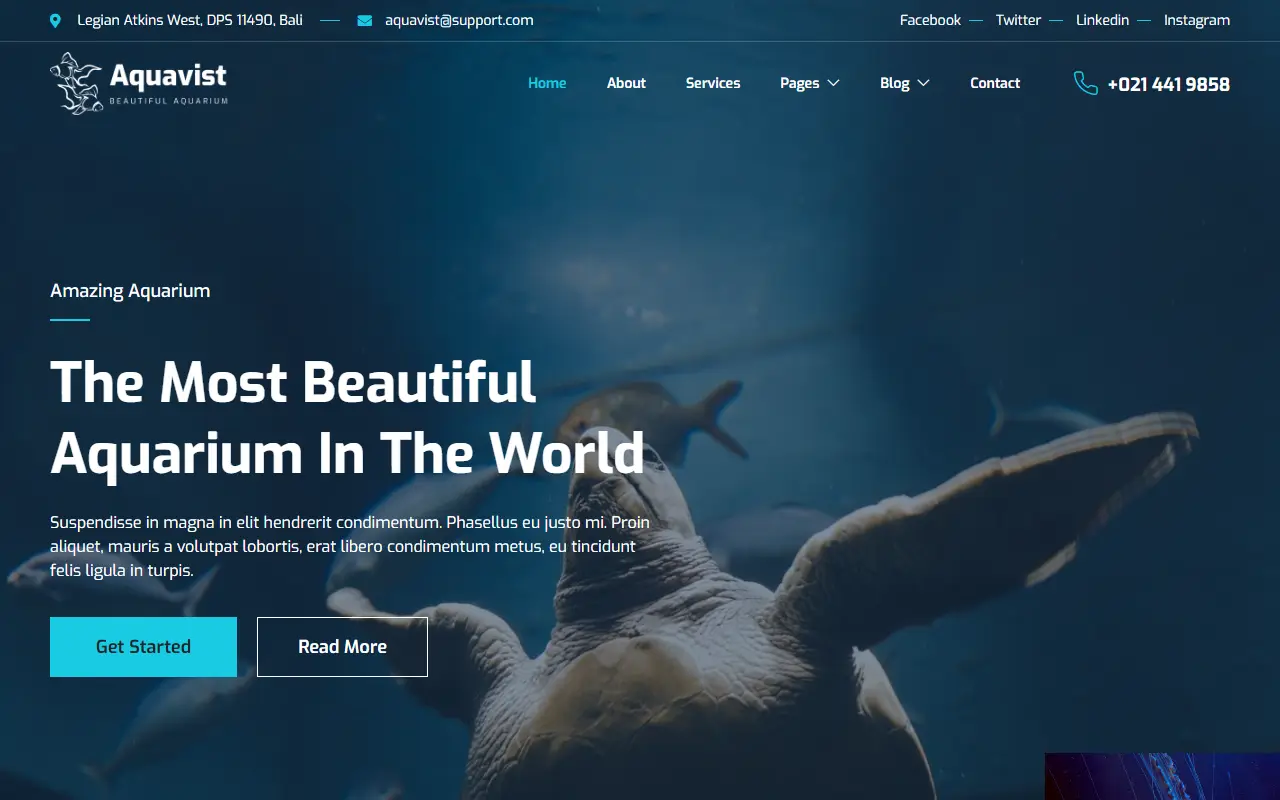 หน้าแรกของธีม Aquavist Fish Aquarium บนคอมพิวเตอร์