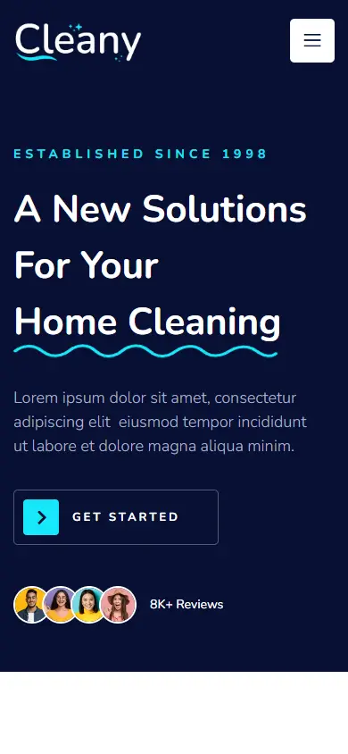 หน้าแรกของธีม Cleany Cleaning Service Company บนมือถือ