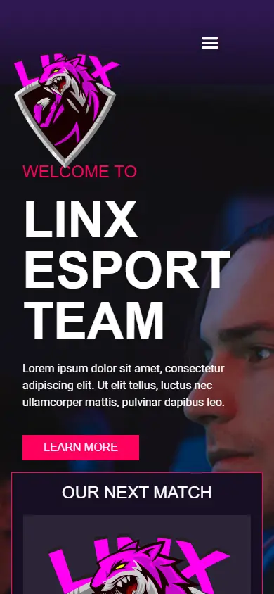หน้าแรกของธีม Linx บนมือถือ