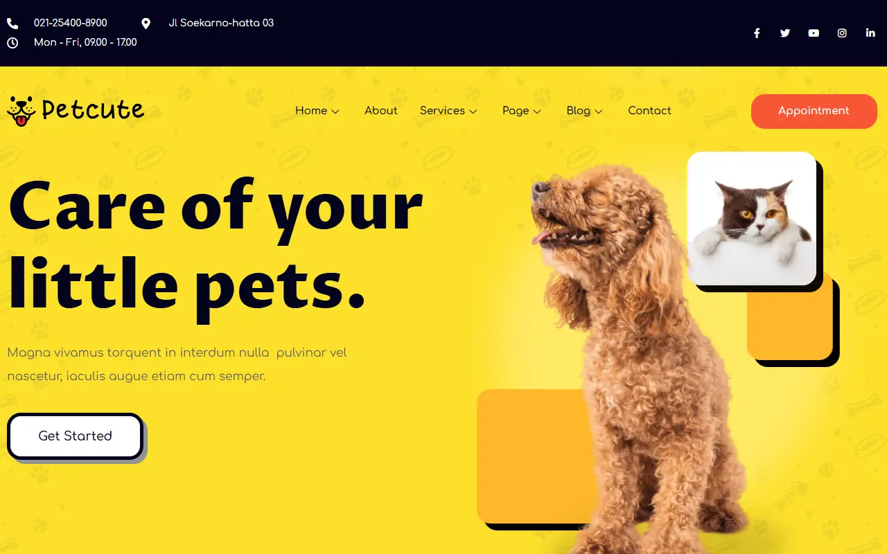 หน้าแรกของธีม Pet Cute บนคอมพิวเตอร์